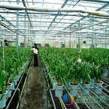 承德某花卉網(wǎng)片應用案例